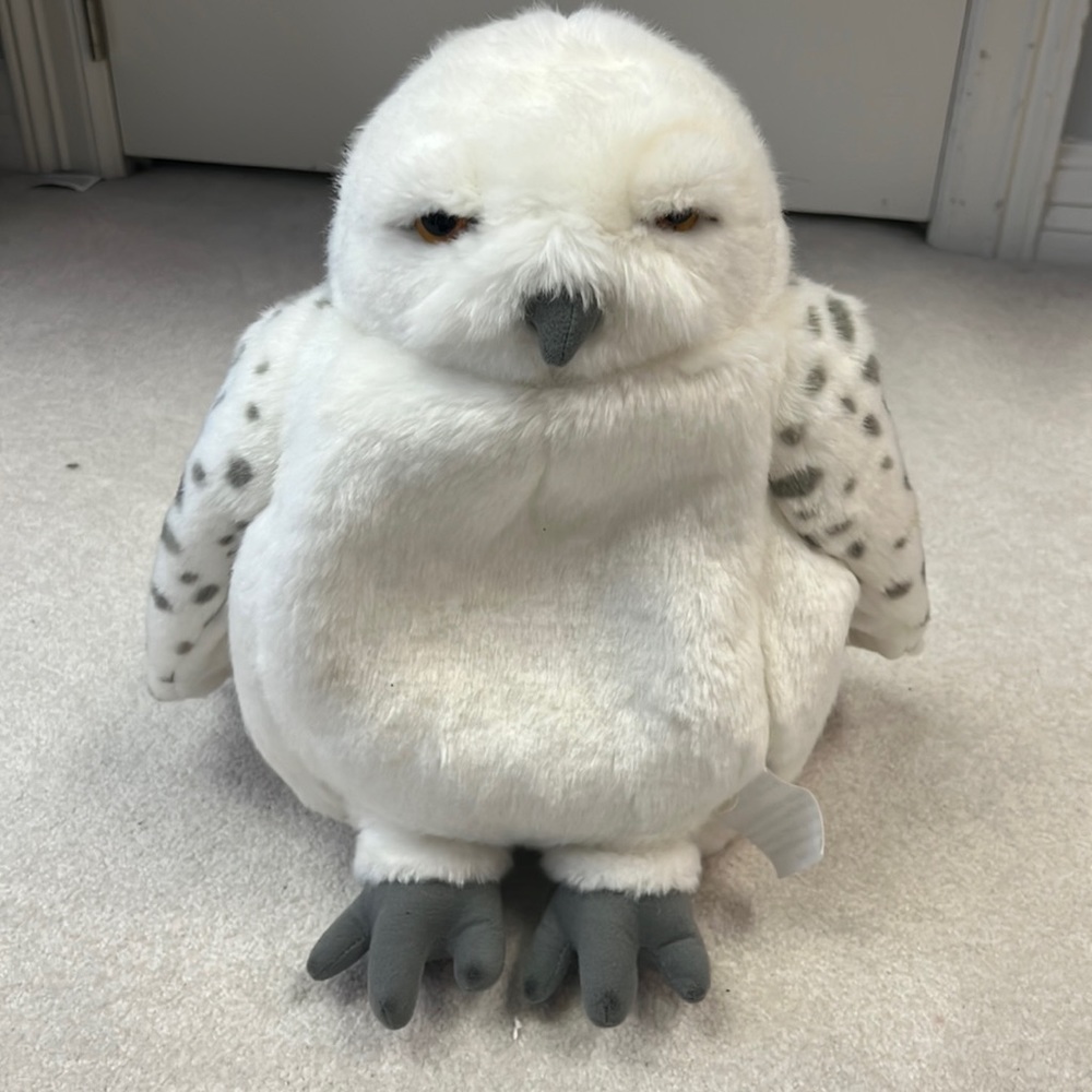 Harry Potter Hedwig backpack.